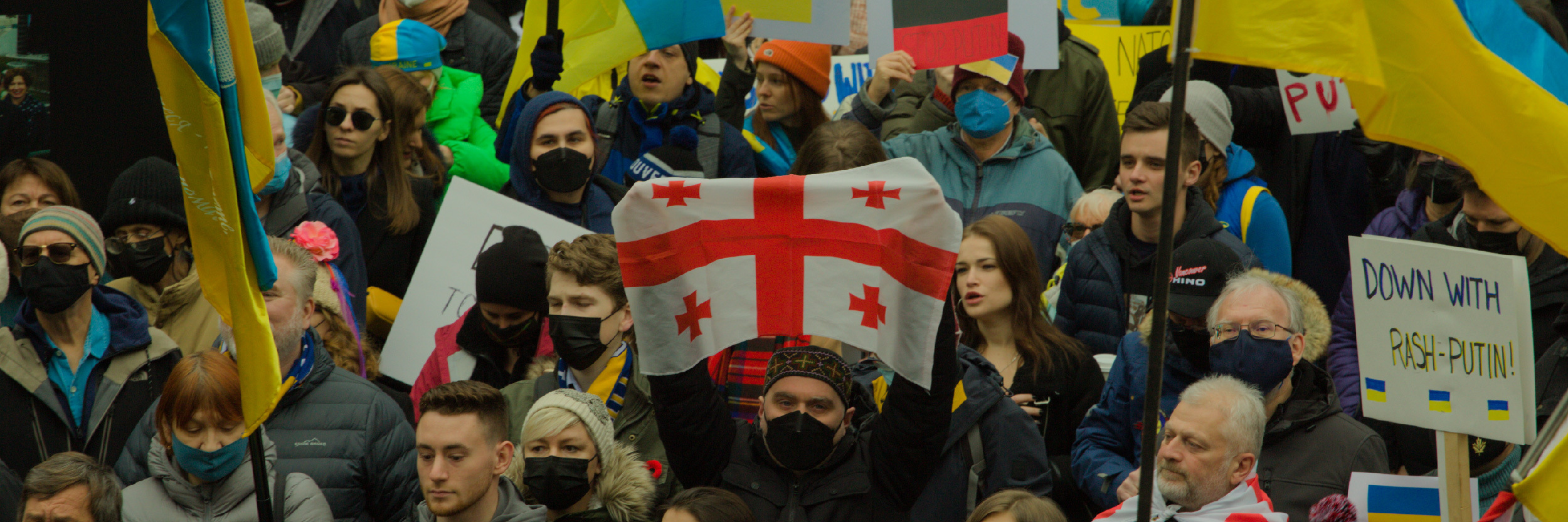 a person is holding up a Georgian flag among protesters holding up Ukrainian flags 